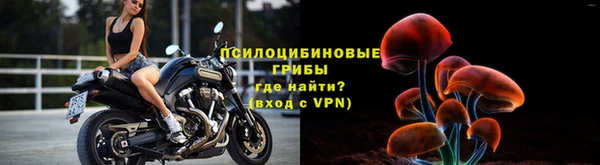 прущая мука Переславль-Залесский