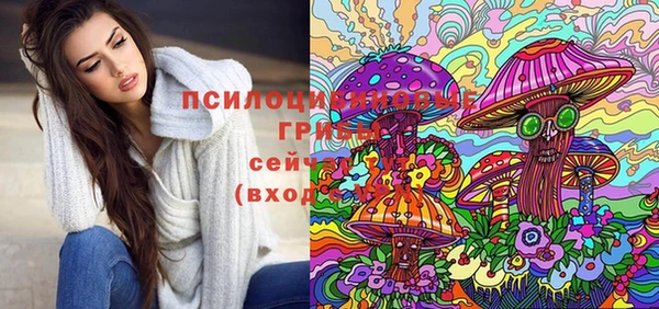 прущая мука Переславль-Залесский
