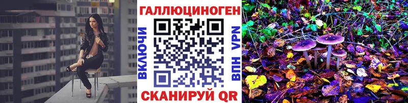 Купить  Шарыпово  Псилоцибиновые грибы Cubensis 