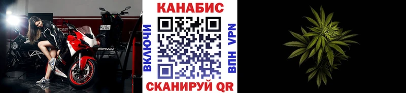 Купить где  Шарыпово  Каннабис планчик